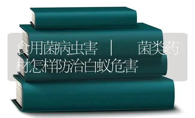 菌类药材怎样防治白蚁危害 | 菌菇种植