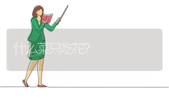 什么菜只吃花？ | 绿植常识