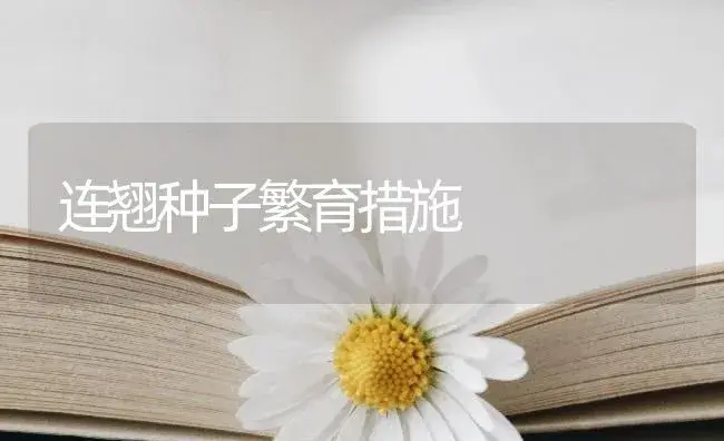 连翘种子繁育措施 | 药材种植