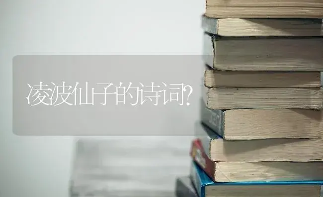 凌波仙子的诗词？ | 绿植常识