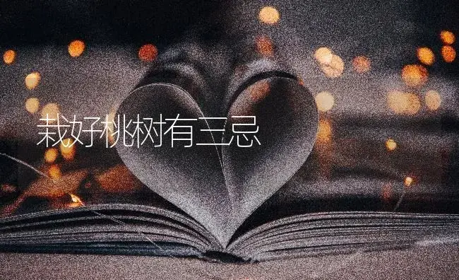 栽好桃树有三忌 | 特种种植