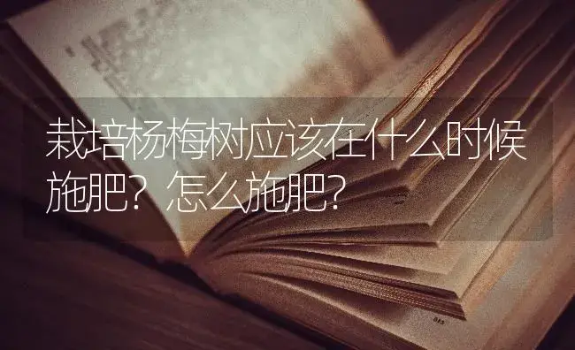 栽培杨梅树应该在什么时候施肥？怎么施肥？ | 果木种植