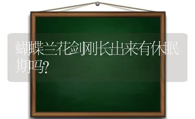 蝴蝶兰花剑刚长出来有休眠期吗？ | 绿植常识