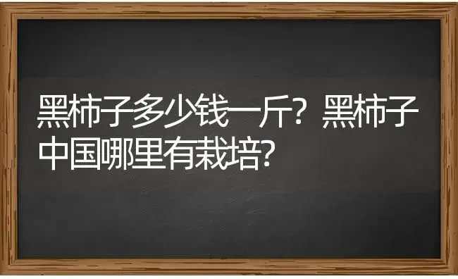 黑柿子多少钱一斤？黑柿子中国哪里有栽培？ | 果木种植