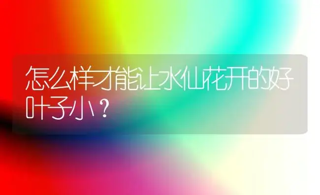 怎么样才能让水仙花开的好叶子小？ | 绿植常识