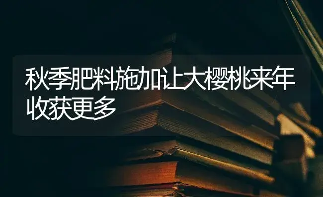 秋季肥料施加让大樱桃来年收获更多 | 果木种植