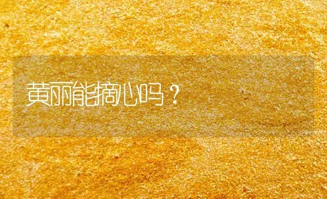 黄丽能摘心吗？ | 多肉养殖