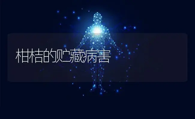 柑桔的贮藏病害 | 特种种植