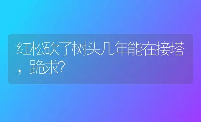 红松砍了树头几年能在接塔,跪求？ | 多肉养殖