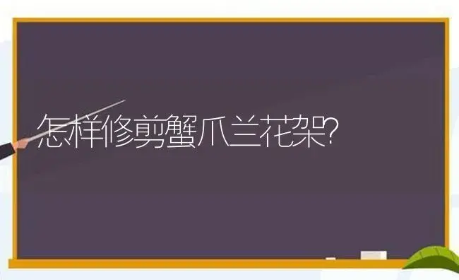 怎样修剪蟹爪兰花架？ | 多肉养殖