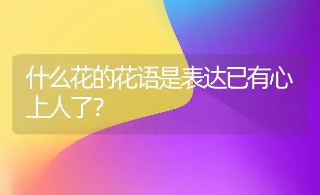 什么花的花语是表达已有心上人了？ | 绿植常识