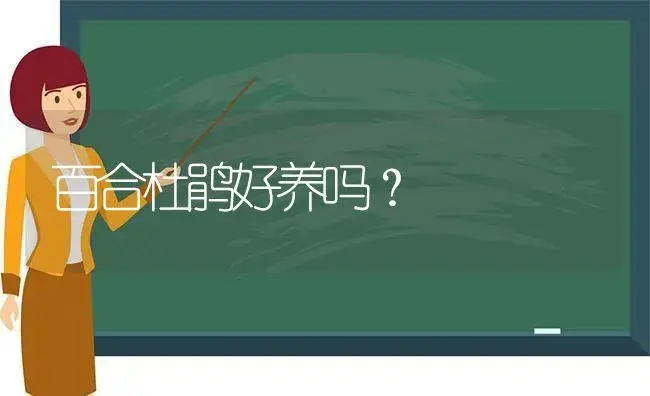 百合杜鹃好养吗？ | 绿植常识