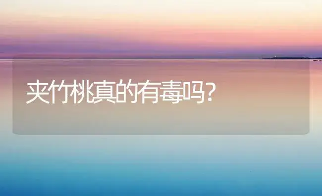 夹竹桃真的有毒吗？ | 家庭养花