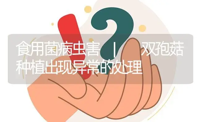 双孢菇种植出现异常的处理 | 菌菇种植