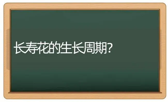 长寿花的生长周期？ | 多肉养殖