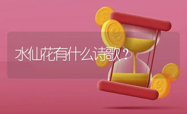 冬季出新苗的月季可以用缓释肥？ | 绿植常识