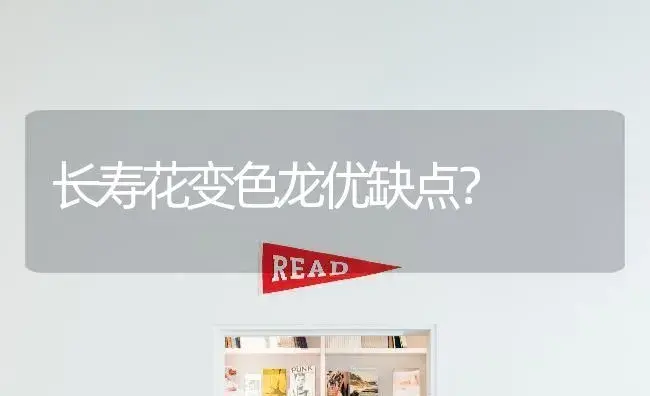长寿花变色龙优缺点？ | 多肉养殖