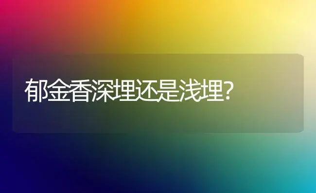 郁金香深埋还是浅埋？ | 绿植常识