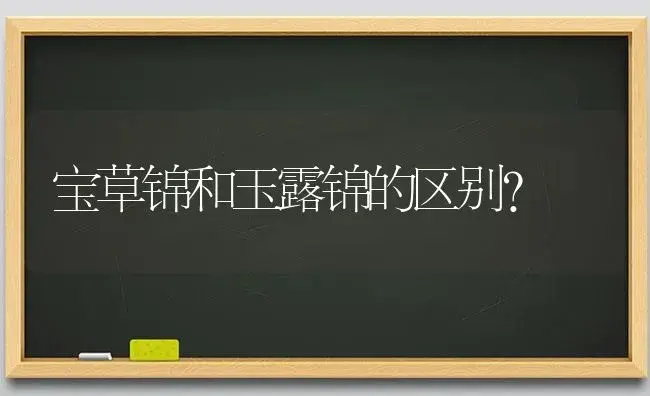 宝草锦和玉露锦的区别？ | 多肉养殖