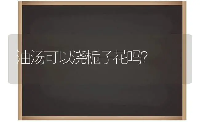 油汤可以浇栀子花吗？ | 绿植常识