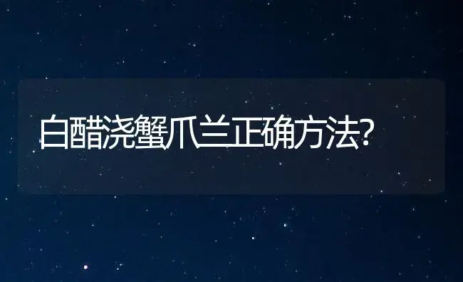 白醋浇蟹爪兰正确方法？ | 多肉养殖