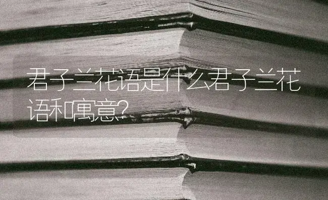 君子兰花语是什么君子兰花语和寓意？ | 绿植常识