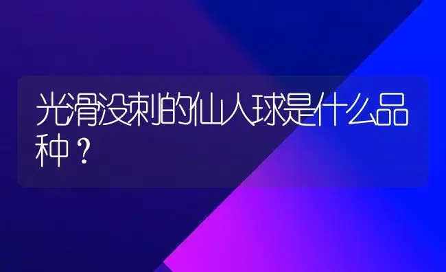 光滑没刺的仙人球是什么品种？ | 多肉养殖