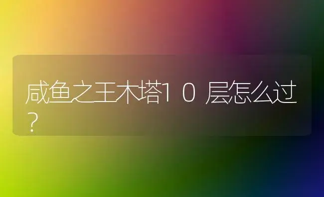 咸鱼之王木塔10层怎么过？ | 多肉养殖