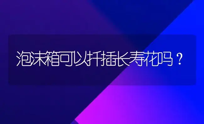 泡沫箱可以扦插长寿花吗？ | 多肉养殖