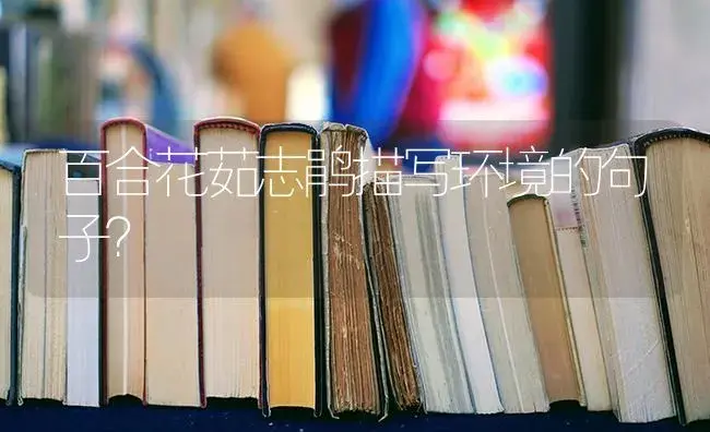百合花茹志鹃描写环境的句子？ | 绿植常识