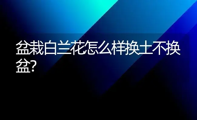 盆栽白兰花怎么样换土不换盆？ | 绿植常识