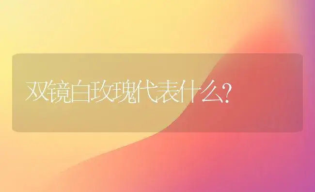 双镜白玫瑰代表什么？ | 绿植常识