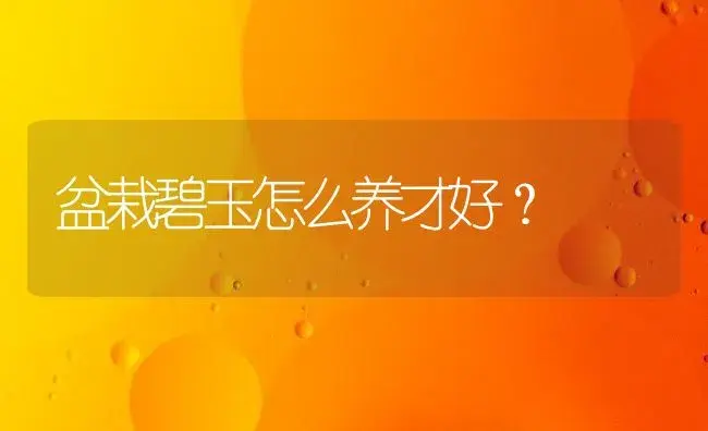 盆栽碧玉怎么养才好？ | 家庭养花