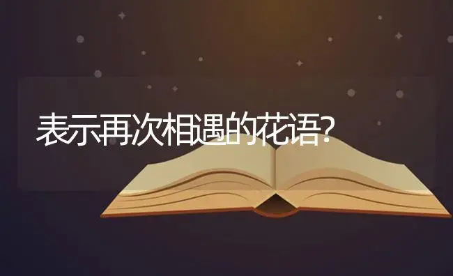 表示再次相遇的花语？ | 绿植常识