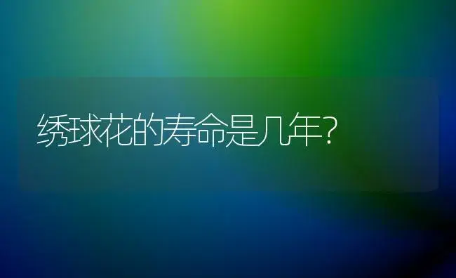 绣球花的寿命是几年？ | 绿植常识