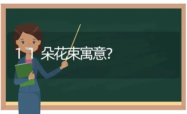 11朵花束寓意？ | 绿植常识