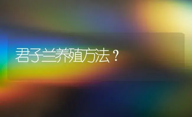 君子兰养殖方法？ | 绿植常识