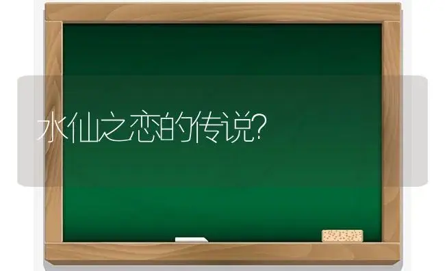 水仙之恋的传说？ | 绿植常识