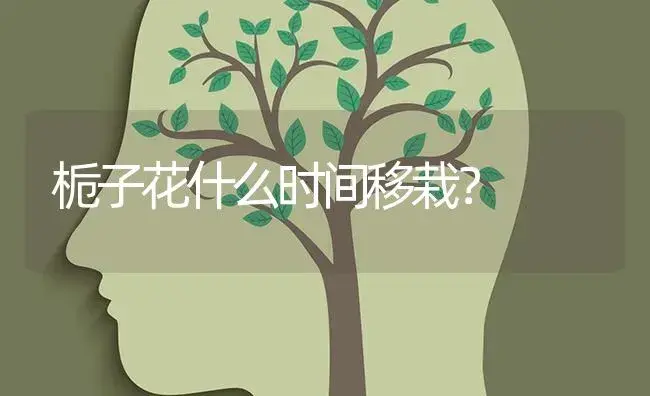 栀子花什么时间移栽？ | 绿植常识