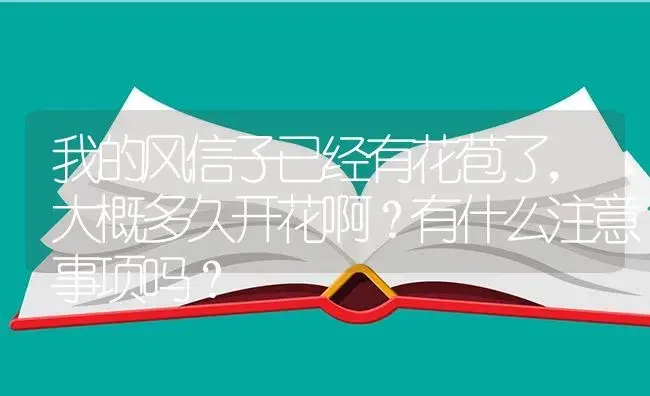 我的风信子已经有花苞了，大概多久开花啊？有什么注意事项吗？ | 绿植常识