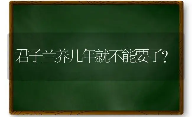 君子兰养几年就不能要了？ | 绿植常识