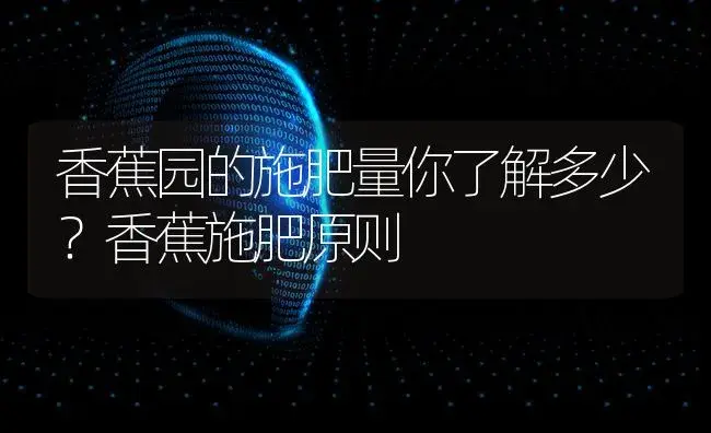 香蕉园的施肥量你了解多少？香蕉施肥原则 | 果木种植