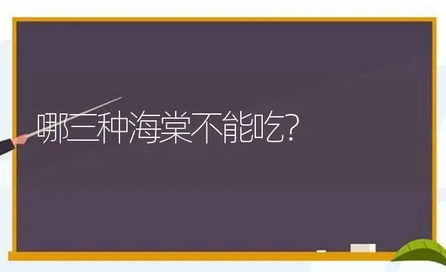 哪三种海棠不能吃？ | 绿植常识