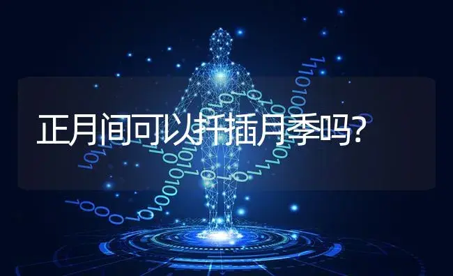 正月间可以扦插月季吗？ | 绿植常识