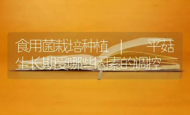 食用菌栽培防病综合措施 | 菌菇种植