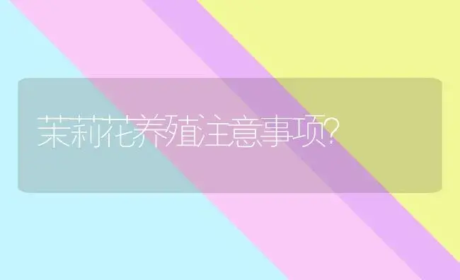 茉莉花养殖注意事项？ | 绿植常识