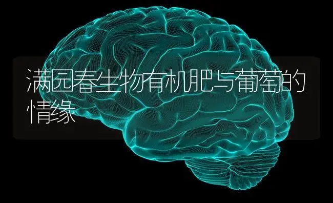 满园春生物有机肥与葡萄的情缘 | 果木种植