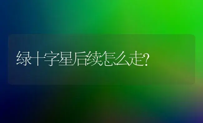 绿十字星后续怎么走？ | 多肉养殖