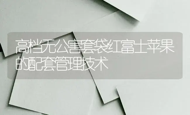 高档无公害套袋红富士苹果的配套管理技术 | 特种种植