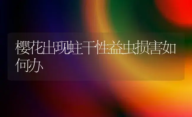 樱花出现蛀干性益虫损害如何办 | 家庭养花